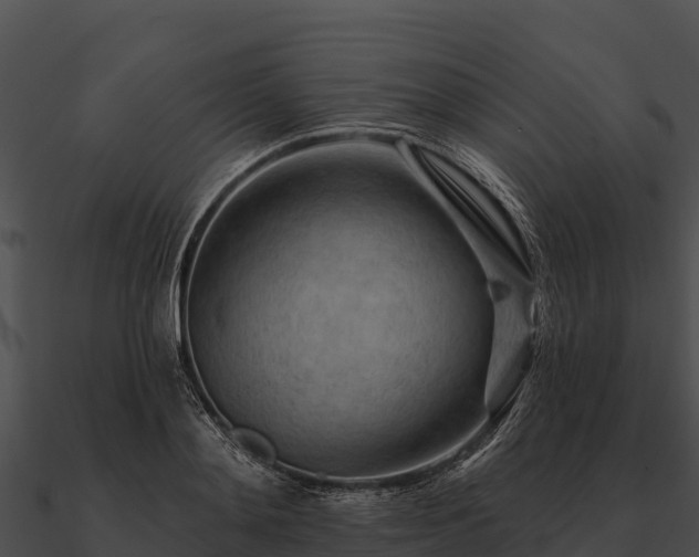 X0000090890892200708031050