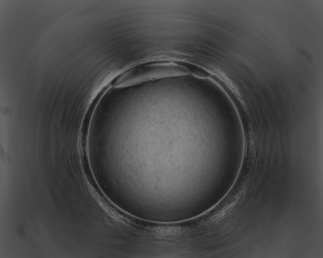 X0000090890893200708031050