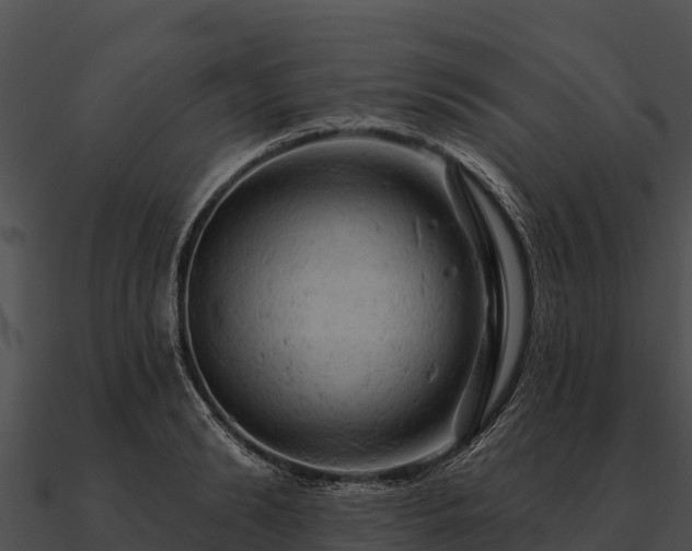 X0000090890894200708031050