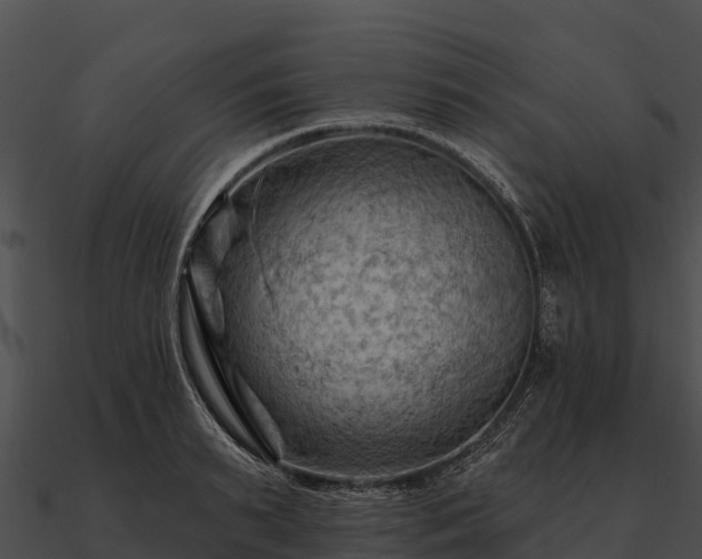 X0000090890895200708031050