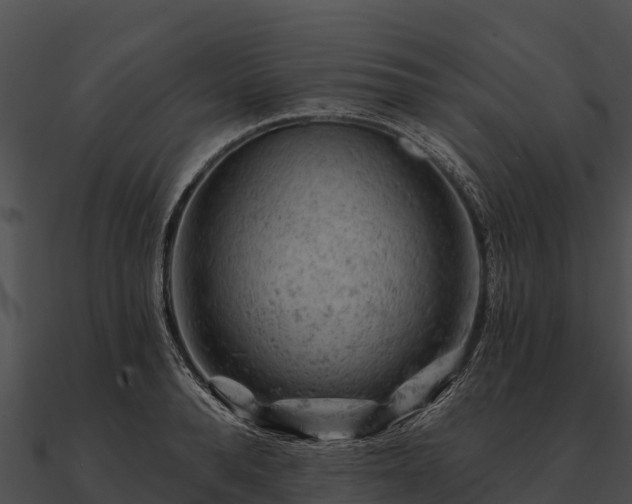 X0000090890896200708031050