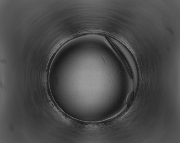 X0000090890898200708031050