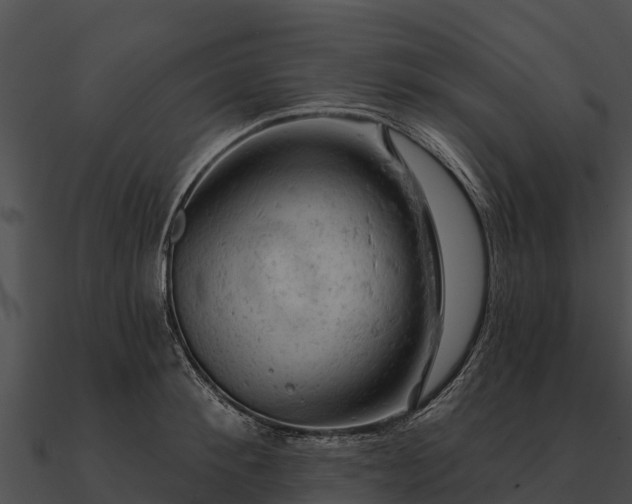 X0000090890900200708031050