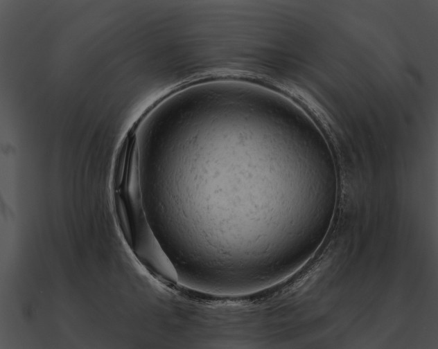 X0000090890902200708031050