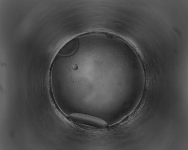 X0000090890903200708031050