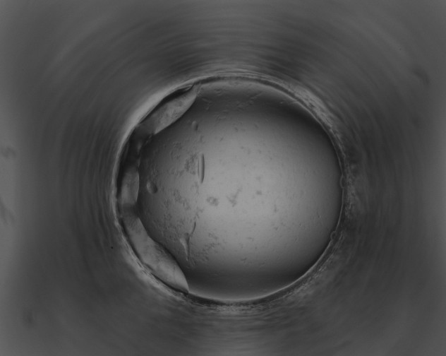 X0000090890904200708031050