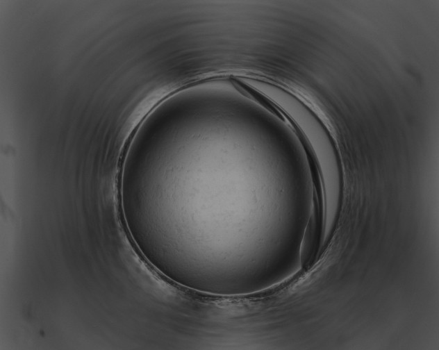 X0000090890906200708031050