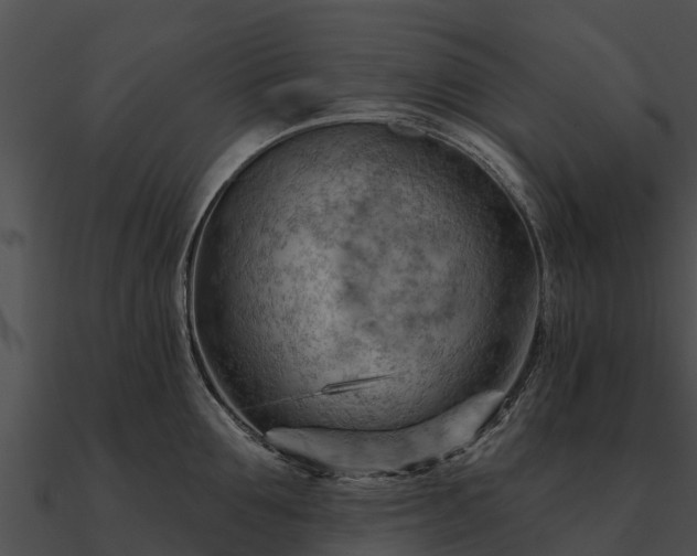 X0000090890907200708031050