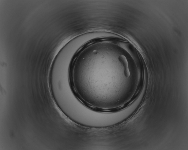 X0000090890909200708031049