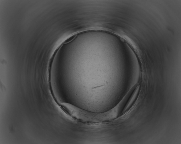 X0000090890910200708031049