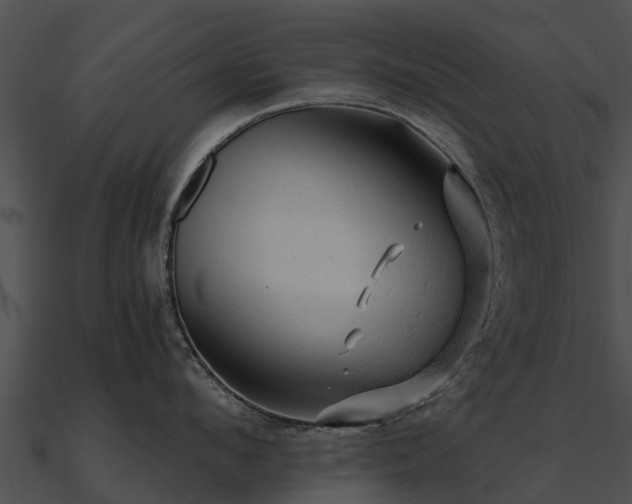 X0000090890912200708031049