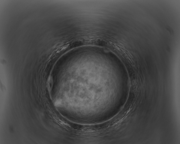 X0000090890913200708031049