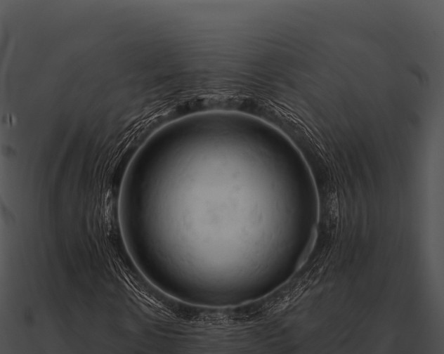 X0000090890914200708031049