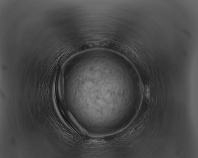 X0000090890915200708031049