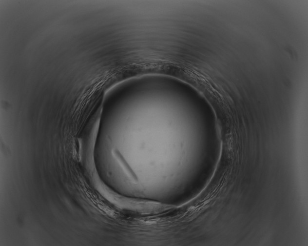 X0000090890916200708031049