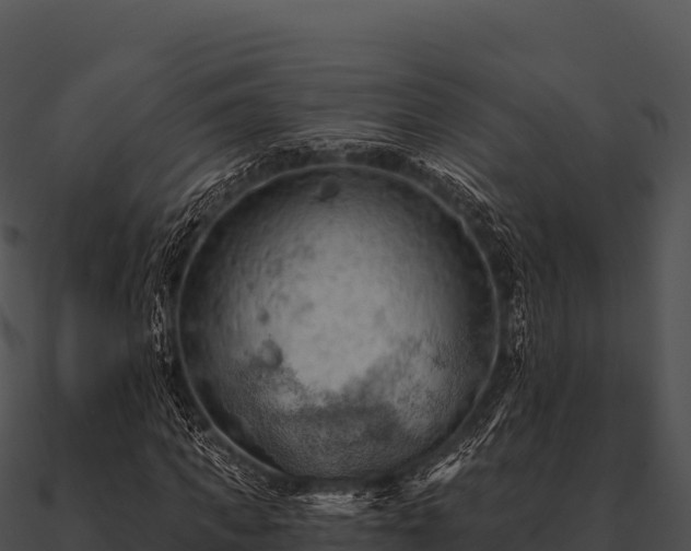 X0000090890917200708031049