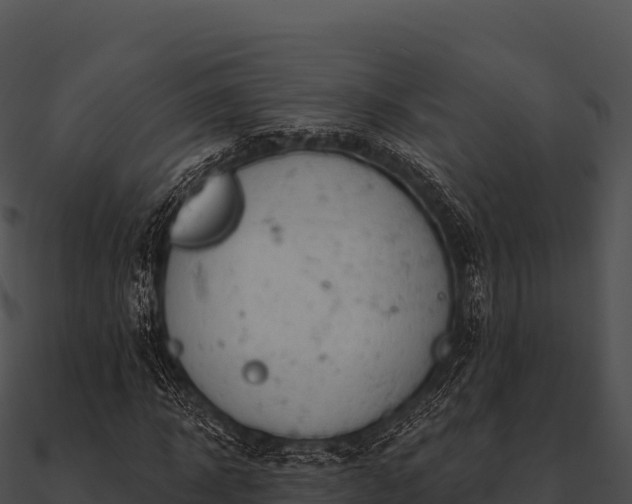 X0000090890918200708031049