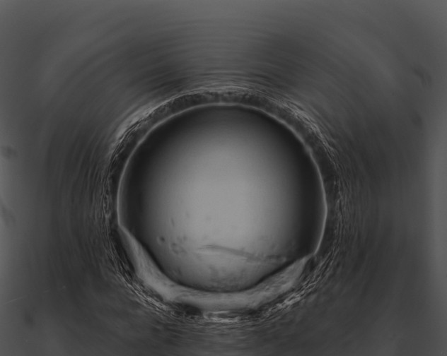 X0000090890920200708031049