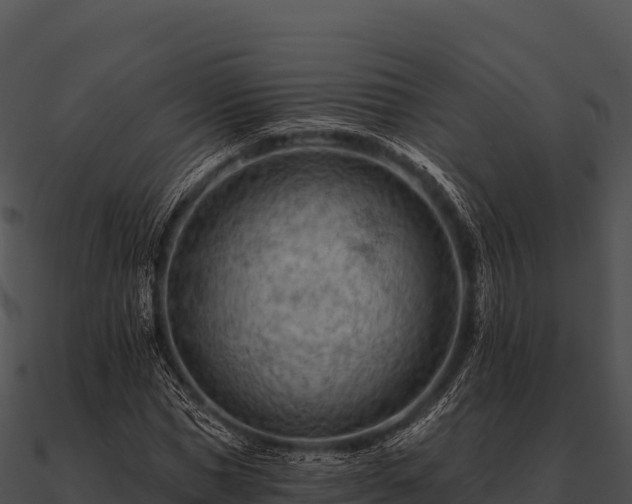 X0000090890921200708031049