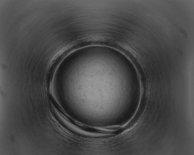 X0000090890922200708031049