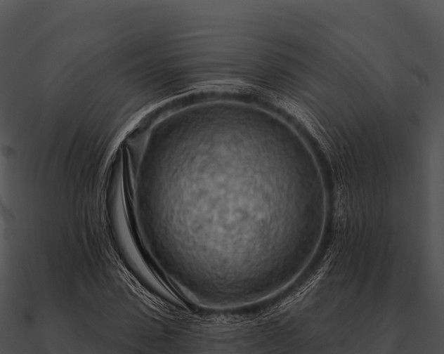 X0000090890923200708031049