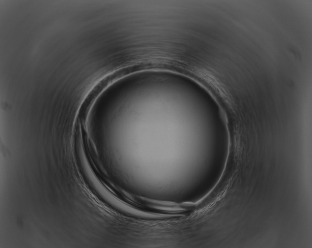 X0000090890924200708031049