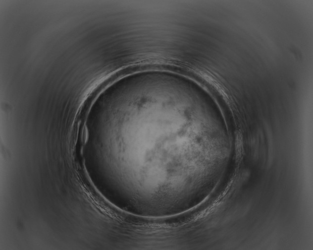 X0000090890925200708031049