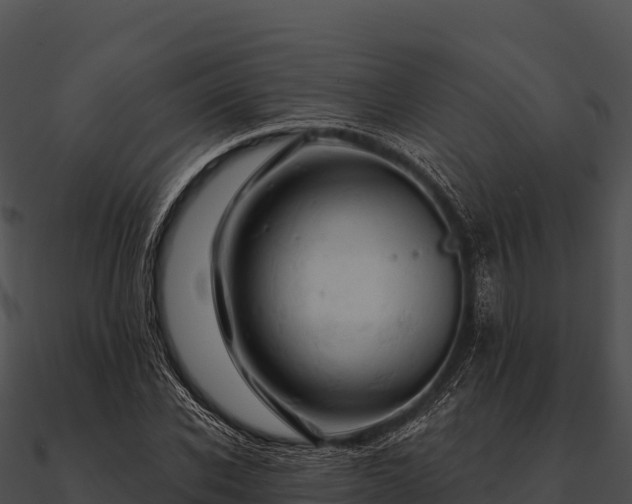 X0000090890926200708031049