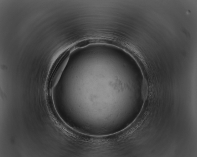 X0000090890928200708031049