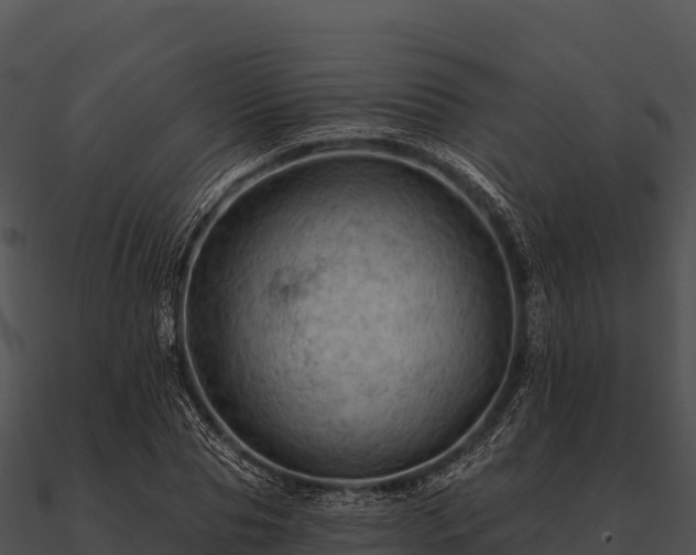 X0000090890929200708031049