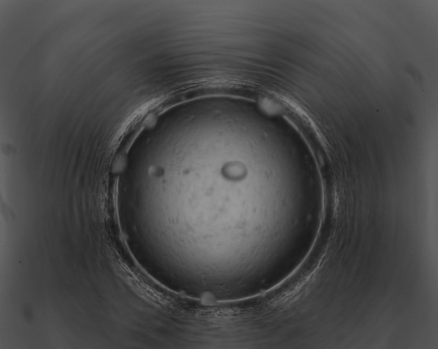 X0000090890930200708031049