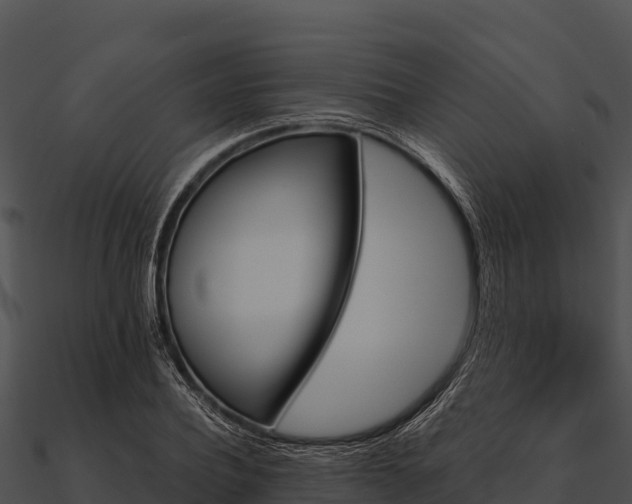 X0000090890932200708031049