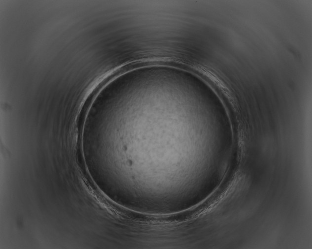 X0000090890933200708031049