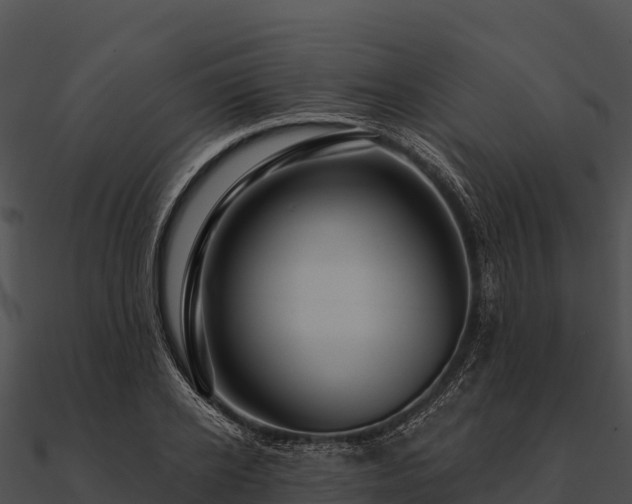 X0000090890934200708031049