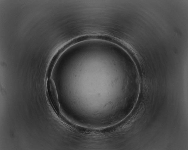 X0000090890935200708031049