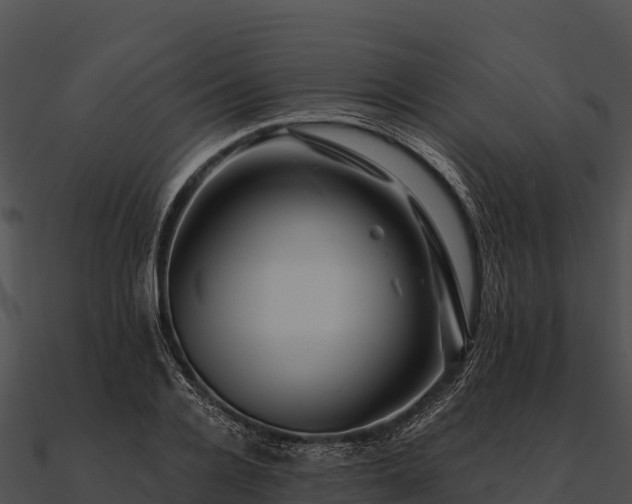 X0000090890936200708031049