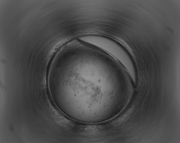 X0000090890938200708031049