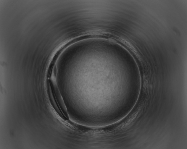 X0000090890939200708031049