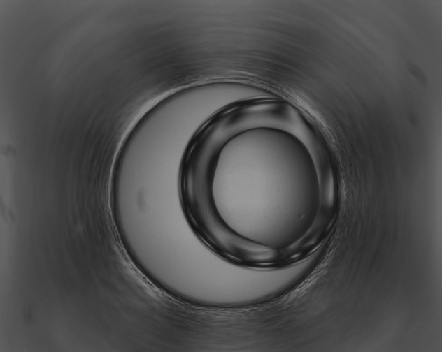 X0000090890940200708031049