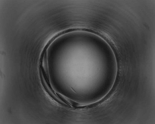 X0000090890942200708031049