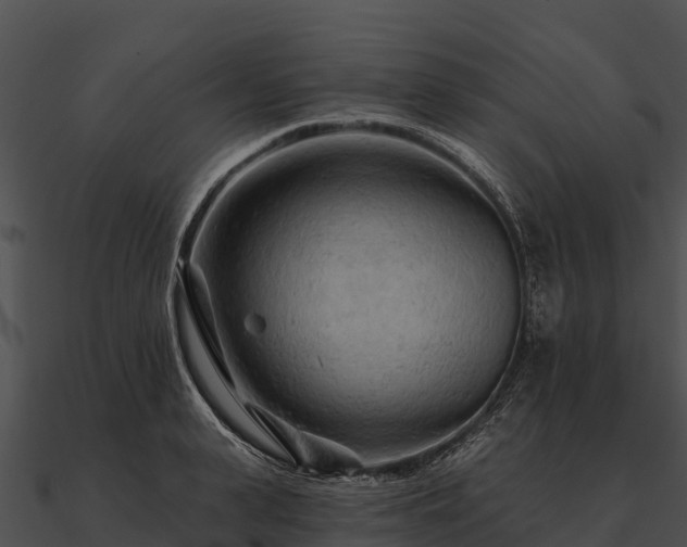 X0000090890943200708031049