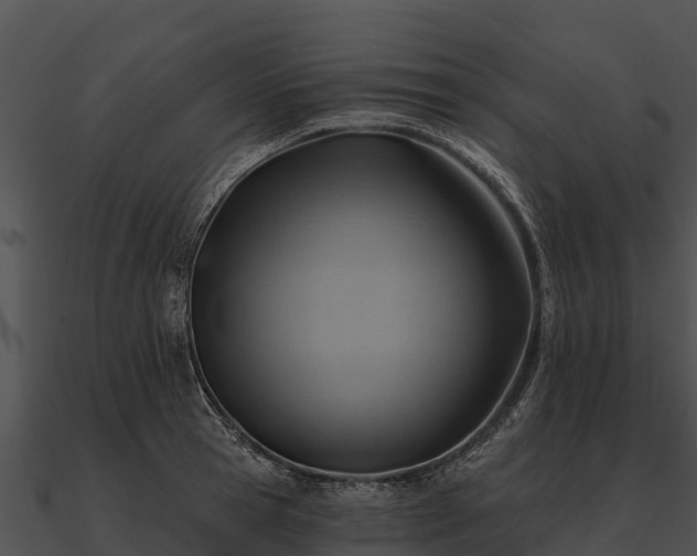 X0000090890945200708031049