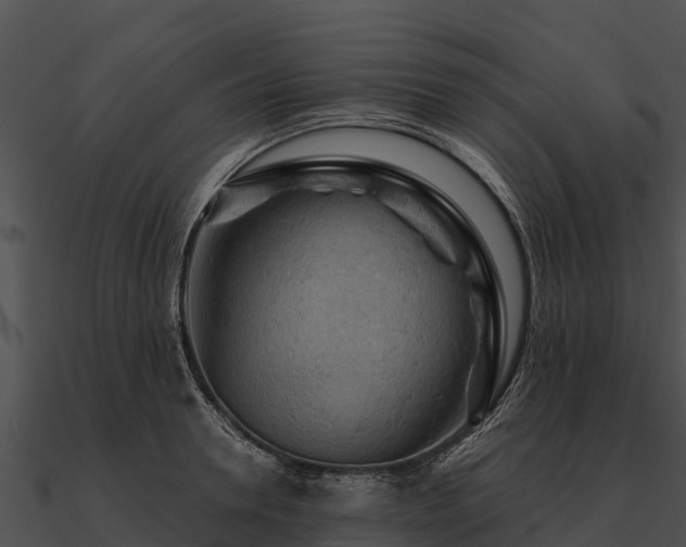 X0000090890946200708031049