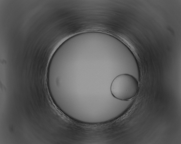 X0000090890948200708031049