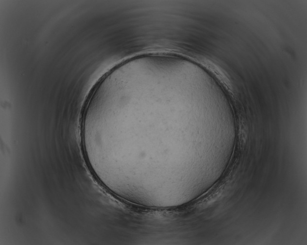 X0000090890950200708031049