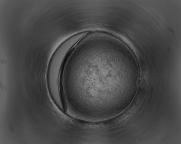 X0000090890951200708031049