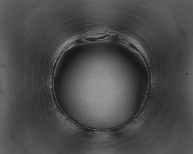 X0000090890954200708031049