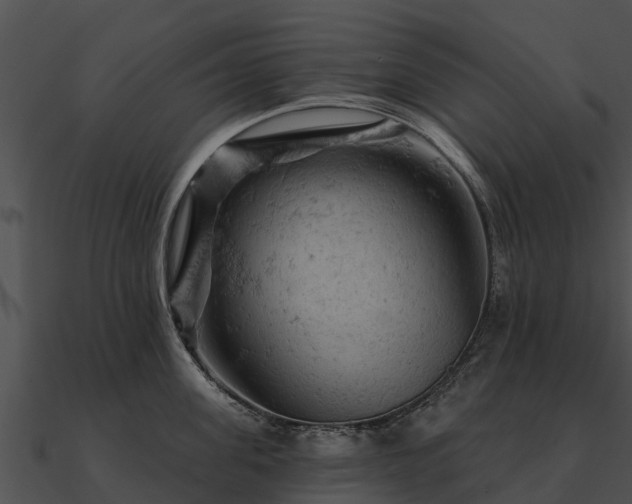 X0000090890955200708031049