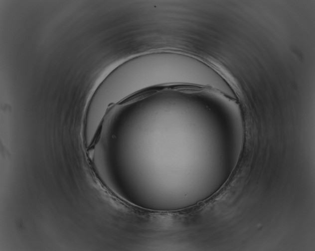 X0000090890956200708031049