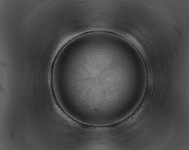 X0000090890958200708031049